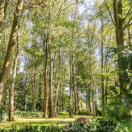 La Petite Evelette - Piscine Et Sauna Au Calme * Ohey