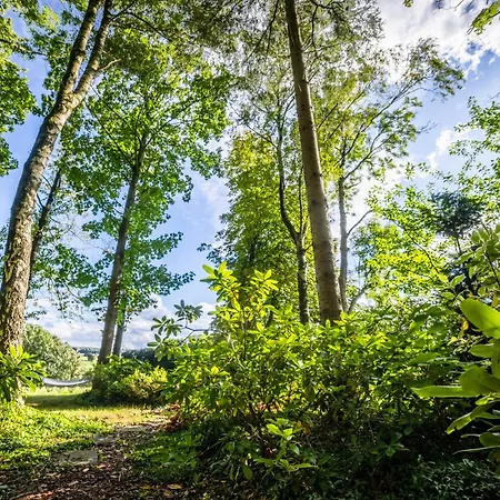 La Petite Evelette - Piscine Et Sauna Au Calme