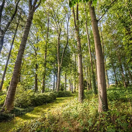 Σπίτι διακοπών La Petite Evelette - Piscine Et Sauna Au Calme
