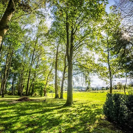 La Petite Evelette - Piscine Et Sauna Au Calme Ohey