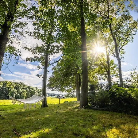 Hébergement de vacances La Petite Evelette - Piscine Et Sauna Au Calme