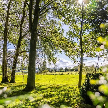 La Petite Evelette - Piscine Et Sauna Au Calme Hébergement de vacances Ohey