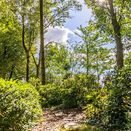 La Petite Evelette - Piscine Et Sauna Au Calme Σπίτι διακοπών *