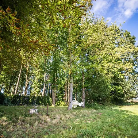 La Petite Evelette - Piscine Et Sauna Au Calme Holiday home *