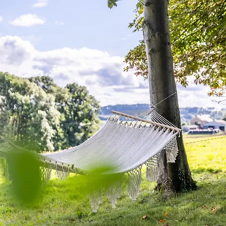 Hébergement de vacances La Petite Evelette - Piscine Et Sauna Au Calme Ohey