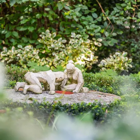 La Petite Evelette - Piscine Et Sauna Au Calme Hébergement de vacances Ohey