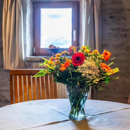 La Petite Evelette - Piscine Et Sauna Au Calme * Ohey