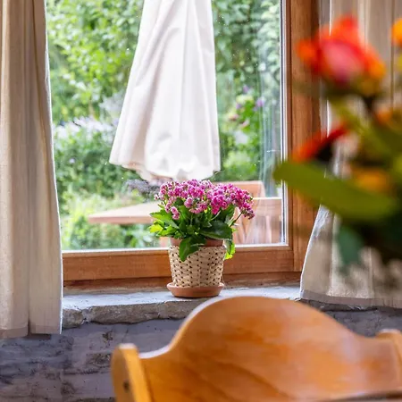 La Petite Evelette - Piscine Et Sauna Au Calme Holiday home