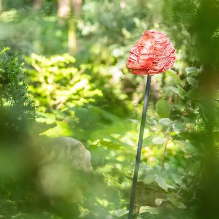 La Petite Evelette - Piscine Et Sauna Au Calme Сasa de vacaciones Ohey