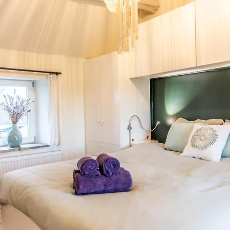 La Petite Evelette - Piscine Et Sauna Au Calme Hébergement de vacances Ohey